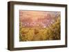 Vineyards at Sunset-Markus-Framed Photographic Print