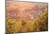 Vineyards at Sunset-Markus-Mounted Photographic Print