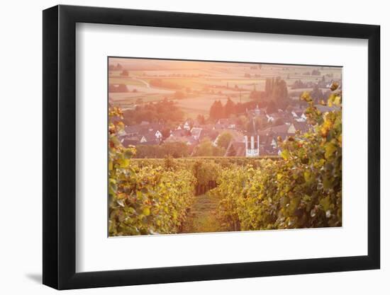 Vineyards at Sunset-Markus-Framed Premium Photographic Print
