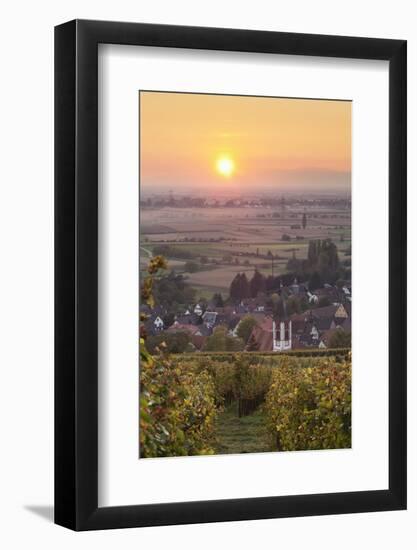 Vineyards at Sunset-Markus-Framed Photographic Print