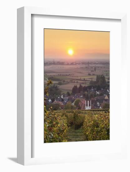 Vineyards at Sunset-Markus-Framed Photographic Print