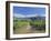 Vineyards at Winery on Shores of Lake Wanaka, South Island, New Zealand-G Richardson-Framed Photographic Print