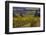 Vineyards at Yamhill Valley Vineyards near McMinnville, Oregon, USA-Chuck Haney-Framed Photographic Print