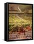 Vineyards, Barbaresco Docg, Piedmont, Italy-null-Framed Stretched Canvas