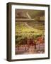 Vineyards, Barbaresco Docg, Piedmont, Italy-null-Framed Photographic Print