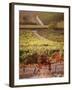 Vineyards, Barbaresco Docg, Piedmont, Italy-null-Framed Photographic Print