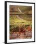 Vineyards, Barbaresco Docg, Piedmont, Italy-null-Framed Photographic Print