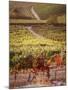 Vineyards, Barbaresco Docg, Piedmont, Italy-null-Mounted Photographic Print