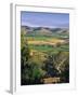 Vineyards, Barossa Valley, South Australia, Australia-Doug Pearson-Framed Photographic Print