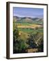 Vineyards, Barossa Valley, South Australia, Australia-Doug Pearson-Framed Photographic Print