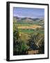 Vineyards, Barossa Valley, South Australia, Australia-Doug Pearson-Framed Photographic Print