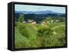 Vineyards Below Small Houses, with Hills in the Background in the Zagorje Region of Croatia, Europe-Ken Gillham-Framed Stretched Canvas