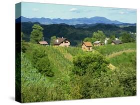 Vineyards Below Small Houses, with Hills in the Background in the Zagorje Region of Croatia, Europe-Ken Gillham-Stretched Canvas