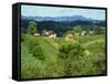 Vineyards Below Small Houses, with Hills in the Background in the Zagorje Region of Croatia, Europe-Ken Gillham-Framed Stretched Canvas