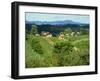 Vineyards Below Small Houses, with Hills in the Background in the Zagorje Region of Croatia, Europe-Ken Gillham-Framed Photographic Print