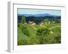 Vineyards Below Small Houses, with Hills in the Background in the Zagorje Region of Croatia, Europe-Ken Gillham-Framed Photographic Print