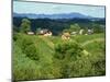 Vineyards Below Small Houses, with Hills in the Background in the Zagorje Region of Croatia, Europe-Ken Gillham-Mounted Photographic Print