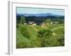 Vineyards Below Small Houses, with Hills in the Background in the Zagorje Region of Croatia, Europe-Ken Gillham-Framed Photographic Print