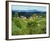 Vineyards Below Small Houses, with Hills in the Background in the Zagorje Region of Croatia, Europe-Ken Gillham-Framed Photographic Print