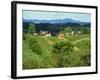 Vineyards Below Small Houses, with Hills in the Background in the Zagorje Region of Croatia, Europe-Ken Gillham-Framed Photographic Print