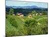 Vineyards Below Small Houses, with Hills in the Background in the Zagorje Region of Croatia, Europe-Ken Gillham-Mounted Photographic Print