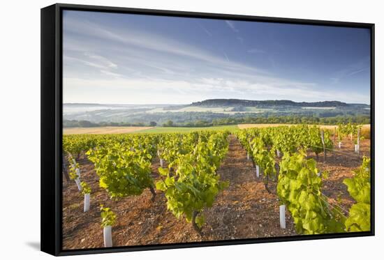 Vineyards Below the Hilltop Village of Vezelay in Burgundy, France, Europe-Julian Elliott-Framed Stretched Canvas