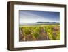Vineyards Below the Hilltop Village of Vezelay in Burgundy, France, Europe-Julian Elliott-Framed Photographic Print