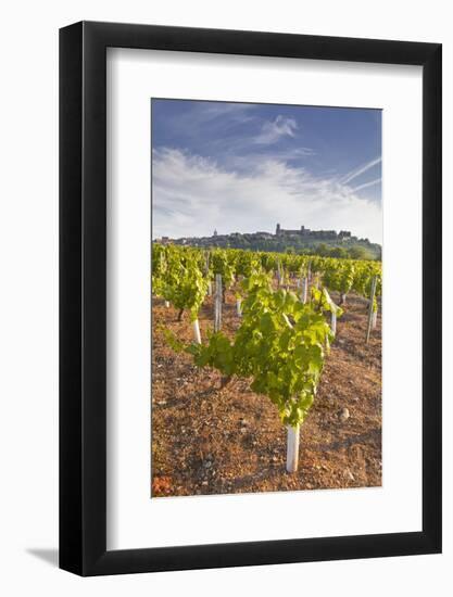 Vineyards Below the Hilltop Village of Vezelay in Burgundy, France, Europe-Julian Elliott-Framed Photographic Print