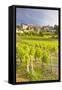 Vineyards Below the Hilltop Village of Vezelay, Yonne, Burgundy, France, Europe-Julian Elliott-Framed Stretched Canvas