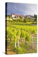 Vineyards Below the Hilltop Village of Vezelay, Yonne, Burgundy, France, Europe-Julian Elliott-Stretched Canvas