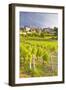 Vineyards Below the Hilltop Village of Vezelay, Yonne, Burgundy, France, Europe-Julian Elliott-Framed Photographic Print