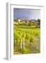 Vineyards Below the Hilltop Village of Vezelay, Yonne, Burgundy, France, Europe-Julian Elliott-Framed Photographic Print