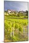 Vineyards Below the Hilltop Village of Vezelay, Yonne, Burgundy, France, Europe-Julian Elliott-Mounted Photographic Print