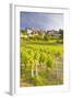 Vineyards Below the Hilltop Village of Vezelay, Yonne, Burgundy, France, Europe-Julian Elliott-Framed Photographic Print