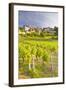 Vineyards Below the Hilltop Village of Vezelay, Yonne, Burgundy, France, Europe-Julian Elliott-Framed Photographic Print