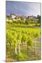 Vineyards Below the Hilltop Village of Vezelay, Yonne, Burgundy, France, Europe-Julian Elliott-Mounted Photographic Print