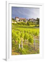 Vineyards Below the Hilltop Village of Vezelay, Yonne, Burgundy, France, Europe-Julian Elliott-Framed Photographic Print