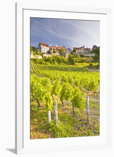 Vineyards Below the Hilltop Village of Vezelay, Yonne, Burgundy, France, Europe-Julian Elliott-Framed Photographic Print