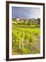 Vineyards Below the Hilltop Village of Vezelay, Yonne, Burgundy, France, Europe-Julian Elliott-Framed Photographic Print