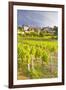 Vineyards Below the Hilltop Village of Vezelay, Yonne, Burgundy, France, Europe-Julian Elliott-Framed Photographic Print