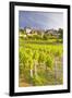 Vineyards Below the Hilltop Village of Vezelay, Yonne, Burgundy, France, Europe-Julian Elliott-Framed Photographic Print