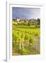 Vineyards Below the Hilltop Village of Vezelay, Yonne, Burgundy, France, Europe-Julian Elliott-Framed Photographic Print