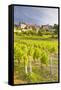 Vineyards Below the Hilltop Village of Vezelay, Yonne, Burgundy, France, Europe-Julian Elliott-Framed Stretched Canvas