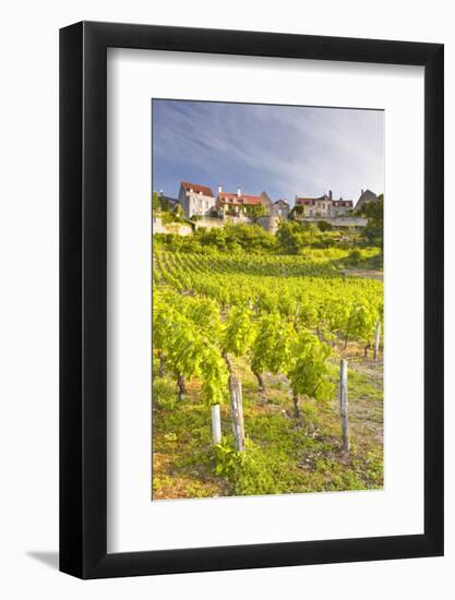 Vineyards Below the Hilltop Village of Vezelay, Yonne, Burgundy, France, Europe-Julian Elliott-Framed Photographic Print