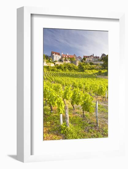 Vineyards Below the Hilltop Village of Vezelay, Yonne, Burgundy, France, Europe-Julian Elliott-Framed Photographic Print