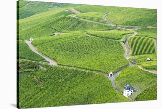 Vineyards, Bernkastel-Kues, Rhineland-Palatinate, Germany-Ian Trower-Stretched Canvas