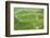 Vineyards, Bernkastel-Kues, Rhineland-Palatinate, Germany-Ian Trower-Framed Photographic Print