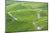 Vineyards, Bernkastel-Kues, Rhineland-Palatinate, Germany-Ian Trower-Mounted Photographic Print