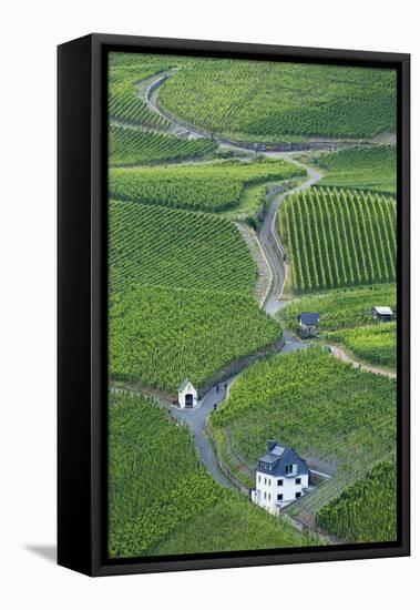 Vineyards, Bernkastel-Kues, Rhineland-Palatinate, Germany-Ian Trower-Framed Stretched Canvas