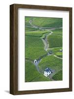 Vineyards, Bernkastel-Kues, Rhineland-Palatinate, Germany-Ian Trower-Framed Photographic Print